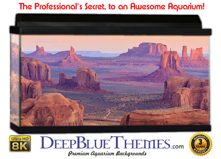 Buy Aquarium Background Nationalpark 0017 Aquarium Background