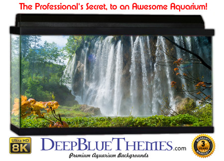 Buy Aquarium Background Nationalpark 0019 Aquarium Background