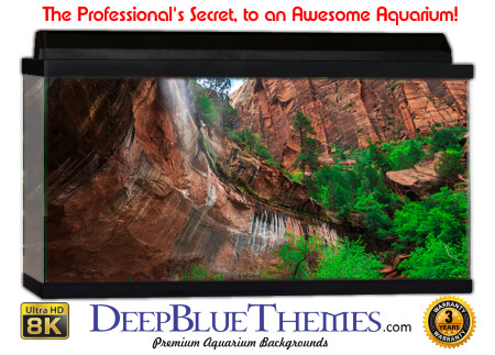 Buy Aquarium Background Nationalpark 0022 Aquarium Background