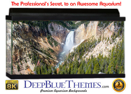 Buy Aquarium Background Nationalpark 0023 Aquarium Background