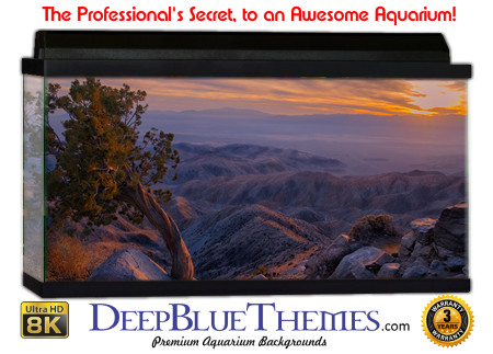 Buy Aquarium Background Nationalpark 0026 Aquarium Background