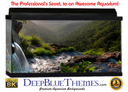 Buy Aquarium Background Nationalpark 0027 Aquarium Background