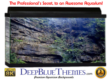 Buy Aquarium Background Nationalpark 0028 Aquarium Background