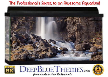 Buy Aquarium Background Nationalpark 0030 Aquarium Background