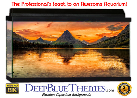 Buy Aquarium Background Nationalpark 0031 Aquarium Background