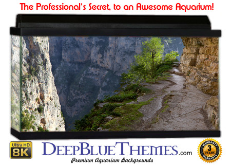 Buy Aquarium Background Nationalpark 0032 Aquarium Background