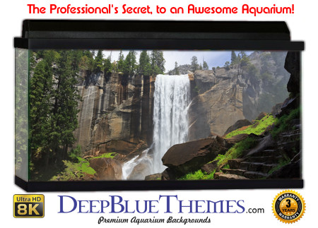 Buy Aquarium Background Nationalpark 0034 Aquarium Background
