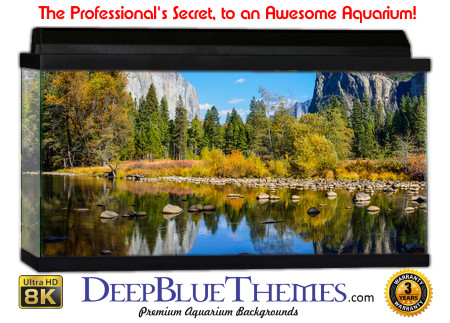 Buy Aquarium Background Nationalpark 0035 Aquarium Background