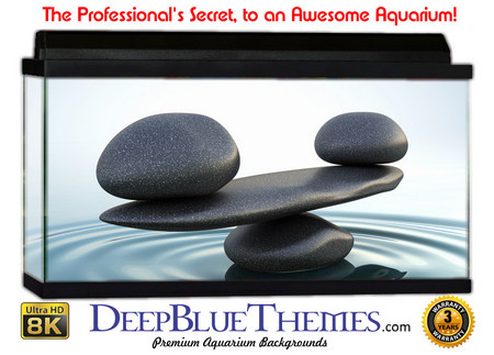 Buy Aquarium Background Nature Balance Aquarium Background