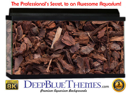 Buy Aquarium Background Nature Bark Aquarium Background