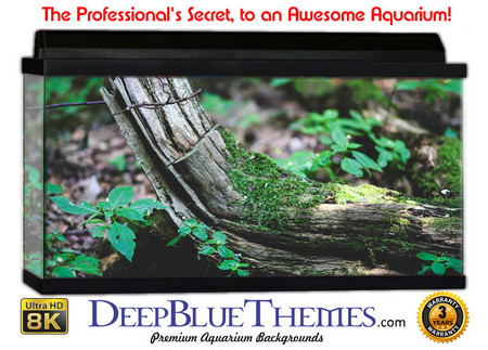 Buy Aquarium Background Nature Branch Aquarium Background