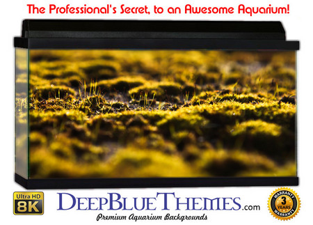 Buy Aquarium Background Nature Depth Aquarium Background