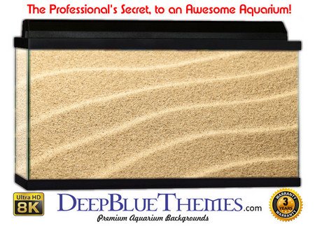 Buy Aquarium Background Nature Desert Aquarium Background