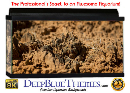 Buy Aquarium Background Nature Dirt Aquarium Background