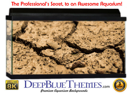 Buy Aquarium Background Nature Dry Aquarium Background