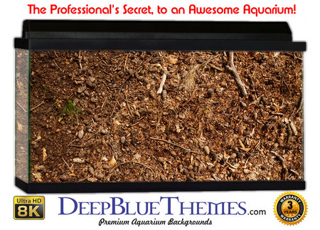 Buy Aquarium Background Nature Forest Aquarium Background