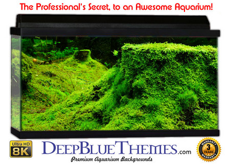 Buy Aquarium Background Nature Forestgreen Aquarium Background