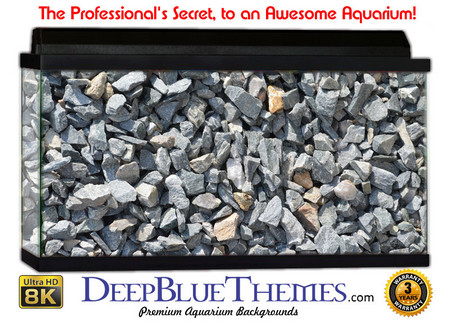 Buy Aquarium Background Nature Gravel Aquarium Background