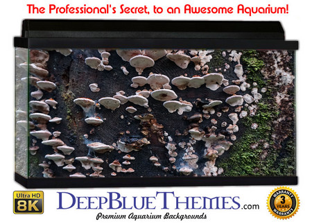 Buy Aquarium Background Nature Growth Aquarium Background