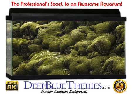 Buy Aquarium Background Nature Iceland Aquarium Background