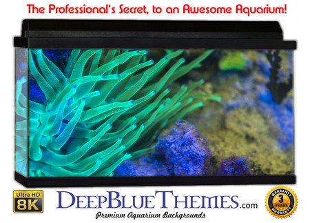 Buy Aquarium Background Nature Light Aquarium Background