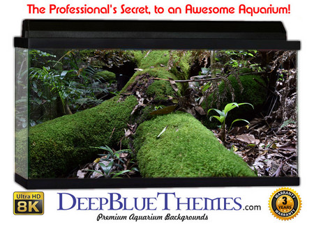 Buy Aquarium Background Nature Logs Aquarium Background