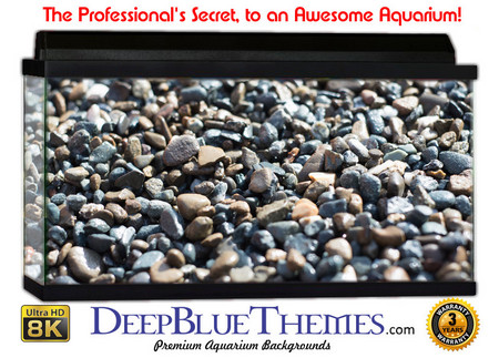 Buy Aquarium Background Nature Pebbles Aquarium Background