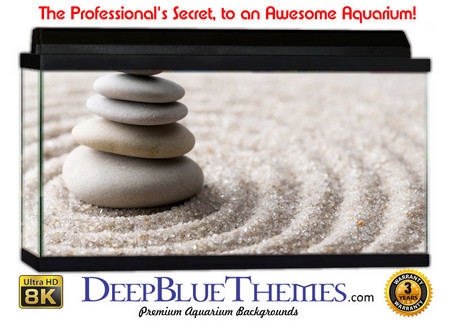Buy Aquarium Background Nature Ripples Aquarium Background