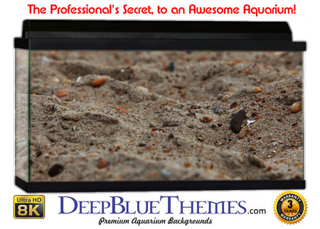 Buy Aquarium Background Nature Sand Aquarium Background