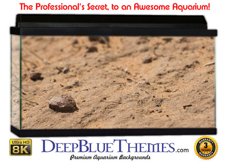 Buy Aquarium Background Nature Soil Aquarium Background
