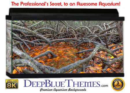 Buy Aquarium Background Nature Spot Aquarium Background