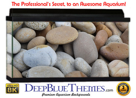 Buy Aquarium Background Nature Stones Aquarium Background