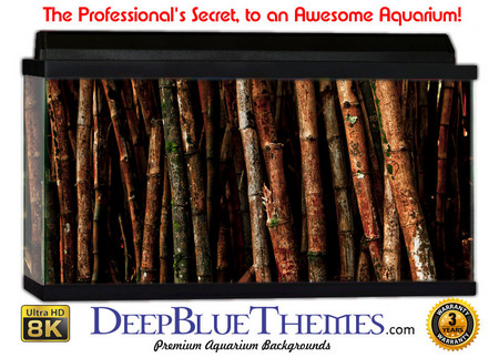 Buy Aquarium Background Nature Trees Aquarium Background