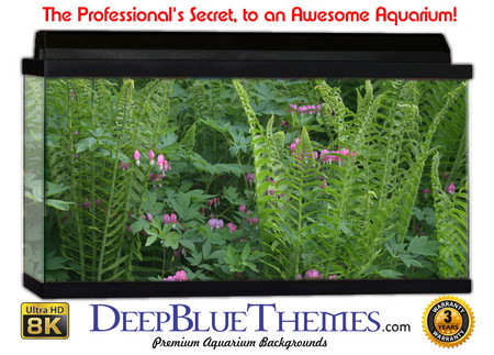 Buy Aquarium Background Nature Wild Aquarium Background