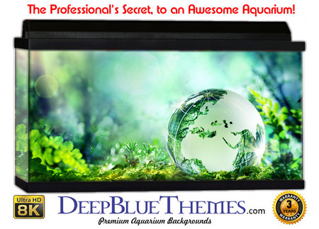 Buy Aquarium Background Otherworld Capture Aquarium Background