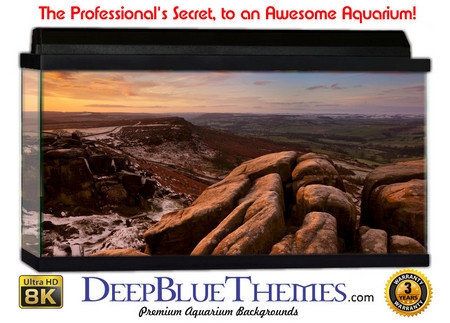 Buy Aquarium Background Otherworld Carve Aquarium Background