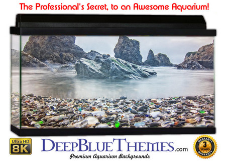 Buy Aquarium Background Otherworld Colors Aquarium Background