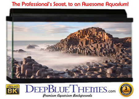 Buy Aquarium Background Otherworld Cubes Aquarium Background