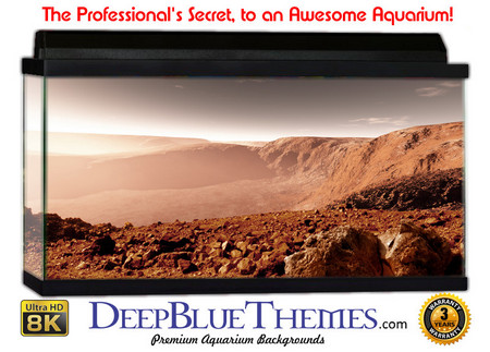 Buy Aquarium Background Otherworld Desert Aquarium Background