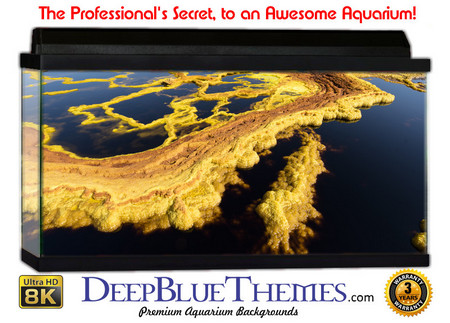 Buy Aquarium Background Otherworld Foam Aquarium Background