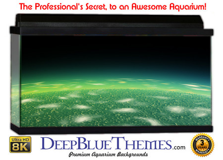 Buy Aquarium Background Otherworld Green Aquarium Background