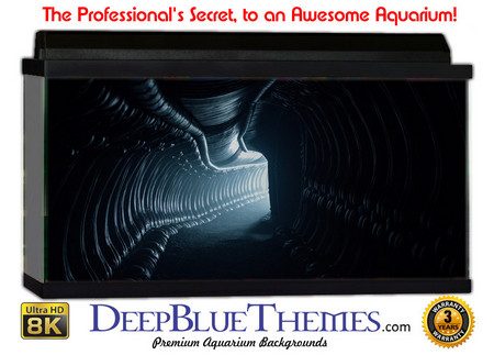 Buy Aquarium Background Otherworld Hallway Aquarium Background