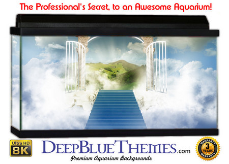 Buy Aquarium Background Otherworld Heaven Aquarium Background
