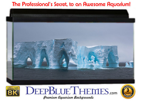 Buy Aquarium Background Otherworld Ice Aquarium Background