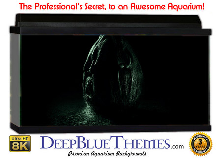 Buy Aquarium Background Otherworld Infant Aquarium Background