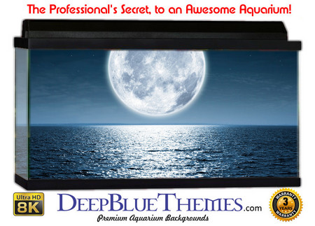 Buy Aquarium Background Otherworld Moon Aquarium Background