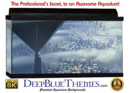 Buy Aquarium Background Otherworld Platform Aquarium Background