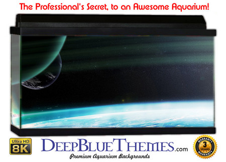Buy Aquarium Background Otherworld Reflect Aquarium Background
