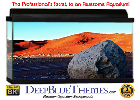 Buy Aquarium Background Otherworld Rock Aquarium Background