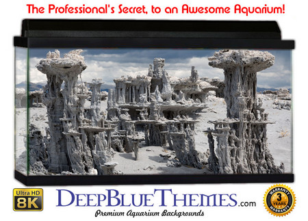 Buy Aquarium Background Otherworld Sand Aquarium Background